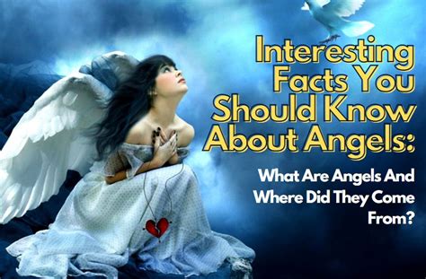 Information about Angeles .